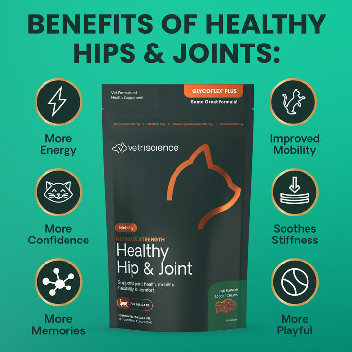 [ NEW LOOK! ] VetriScience® Ultimate Strength Healthy Hip & Joint for Cats (formally known as GlycoFlex® Plus Hip & Joint Supplement for Cats (30 chews)