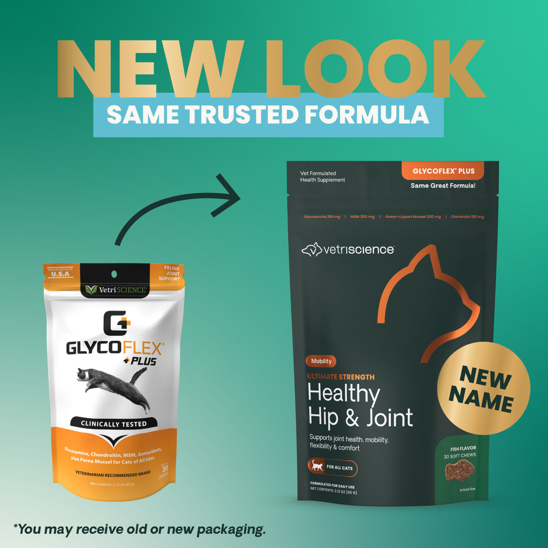 [ NEW LOOK! ] VetriScience® Ultimate Strength Healthy Hip & Joint for Cats (formally known as GlycoFlex® Plus Hip & Joint Supplement for Cats (30 chews)