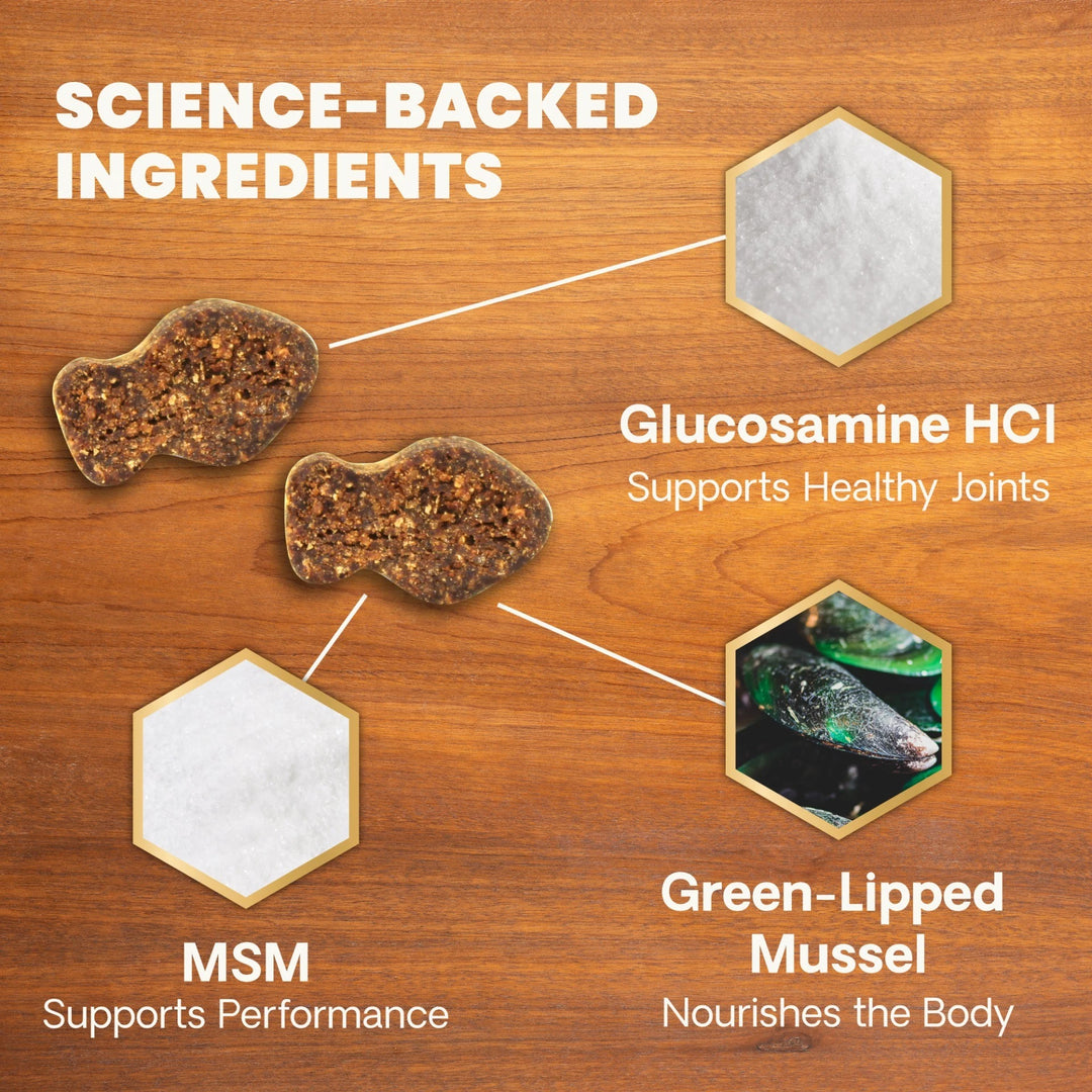 [ NEW LOOK! ] VetriScience® Ultimate Strength Healthy Hip & Joint for Cats (formally known as GlycoFlex® Plus Hip & Joint Supplement for Cats (30 chews)