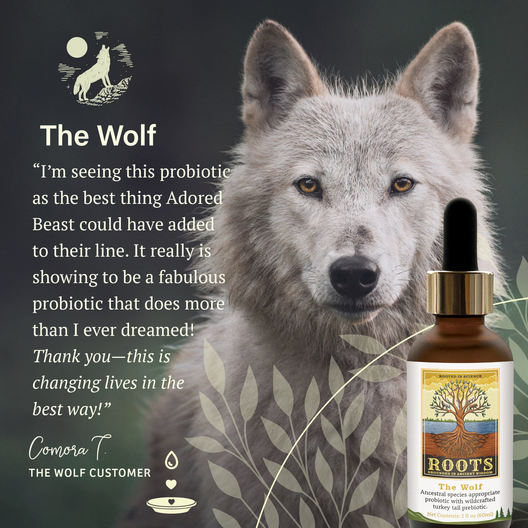 Wolf Roots Adored Beast ROOTS - The Wolf (60ml) - Ancestral Probiotic & Turkey Ta ...