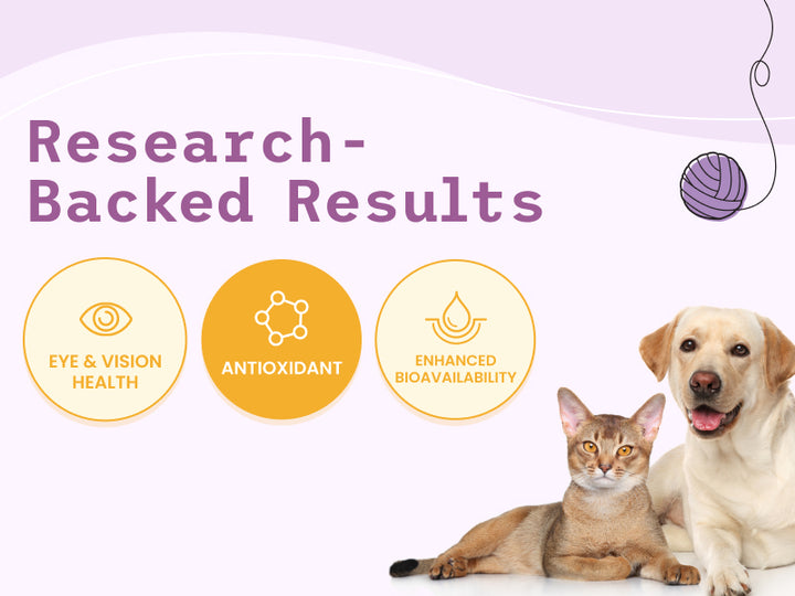 Dr. Mercola | Bark & Whiskers™ Eye Support for Pets, Cats & Dogs (162g)
