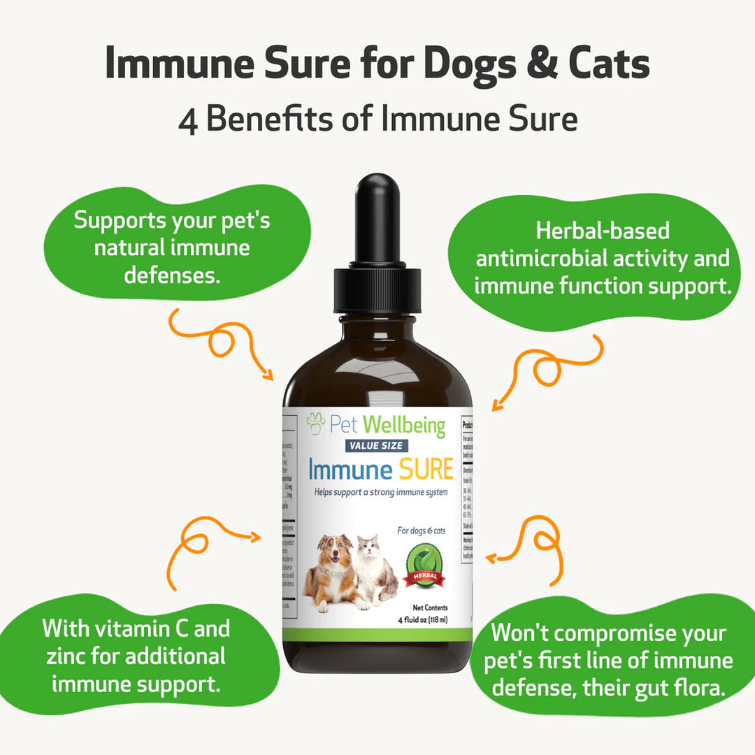 Pet Wellbeing - Immune SURE - for Feline & Canine Immune System Support