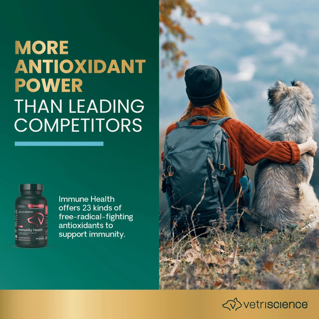 [NEW LOOK!] VetriScience Immunity Health for Medium & Large Dogs, formally known as Immune Plus - Immunity Support for Dogs (120 capsules)