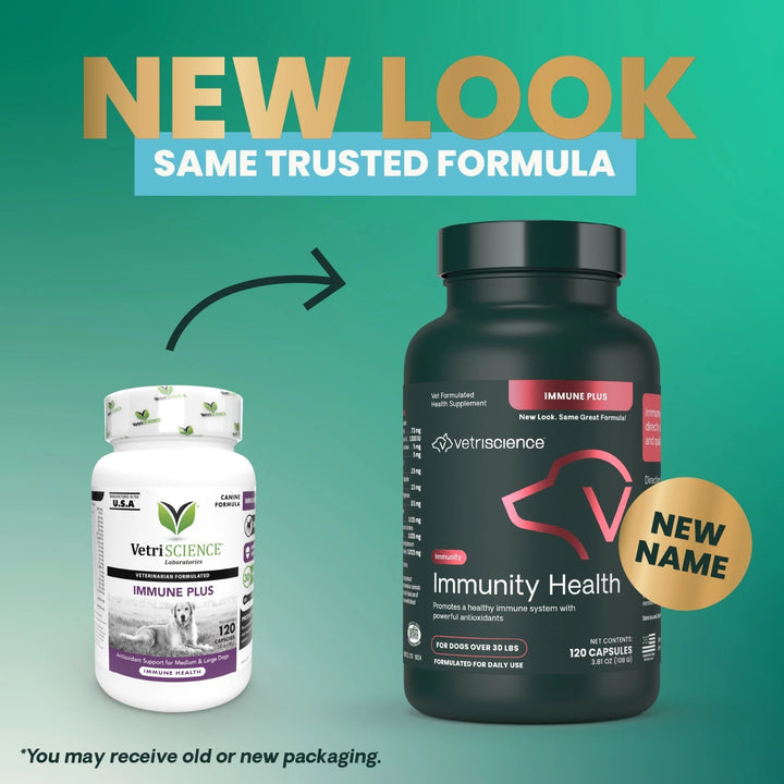 [NEW LOOK!] VetriScience Immunity Health for Medium & Large Dogs, formally known as Immune Plus - Immunity Support for Dogs (120 capsules)
