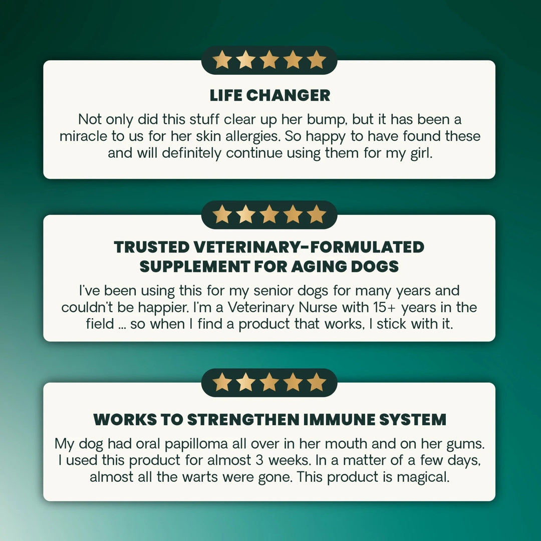 [NEW LOOK!] VetriScience Immunity Health for Medium & Large Dogs, formally known as Immune Plus - Immunity Support for Dogs (120 capsules)