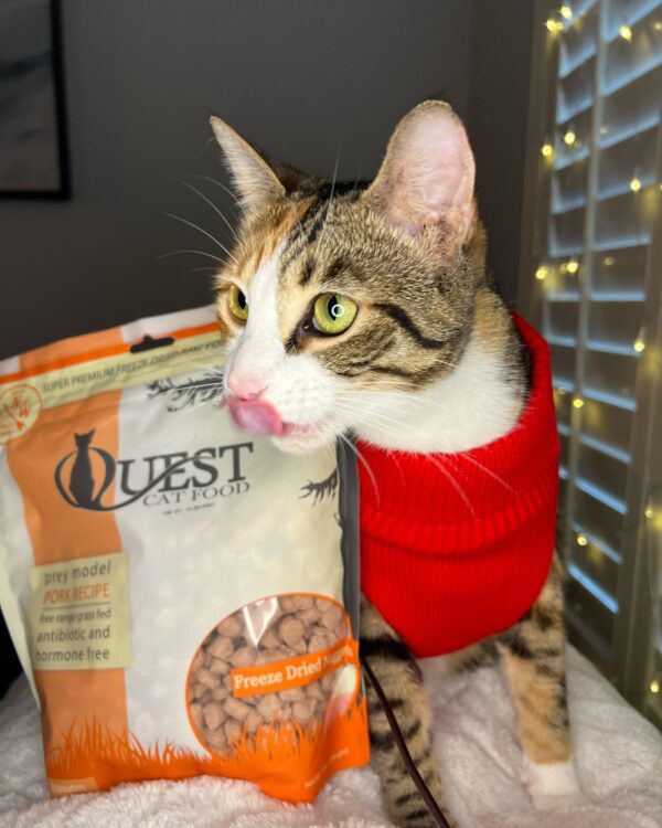 NEW Quest Freeze Dried Raw Cat Food Pork Prey Model Diet 10