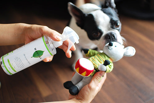 Wafona All-in-One Spray for Dogs - cleans, moisturizes and sterilize with the power of 108 types of natural plant extracts and pure ionized water