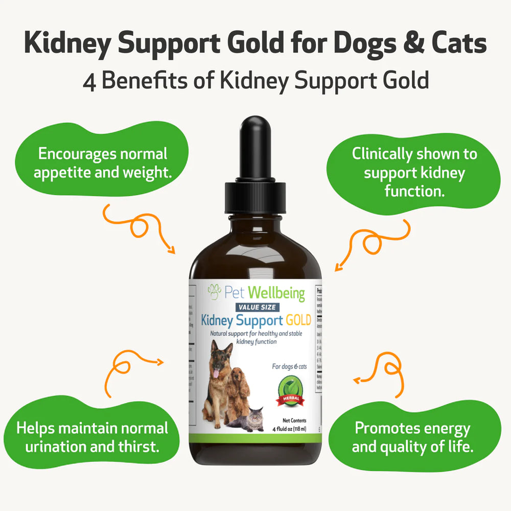 Kidney Support – Furry Planet