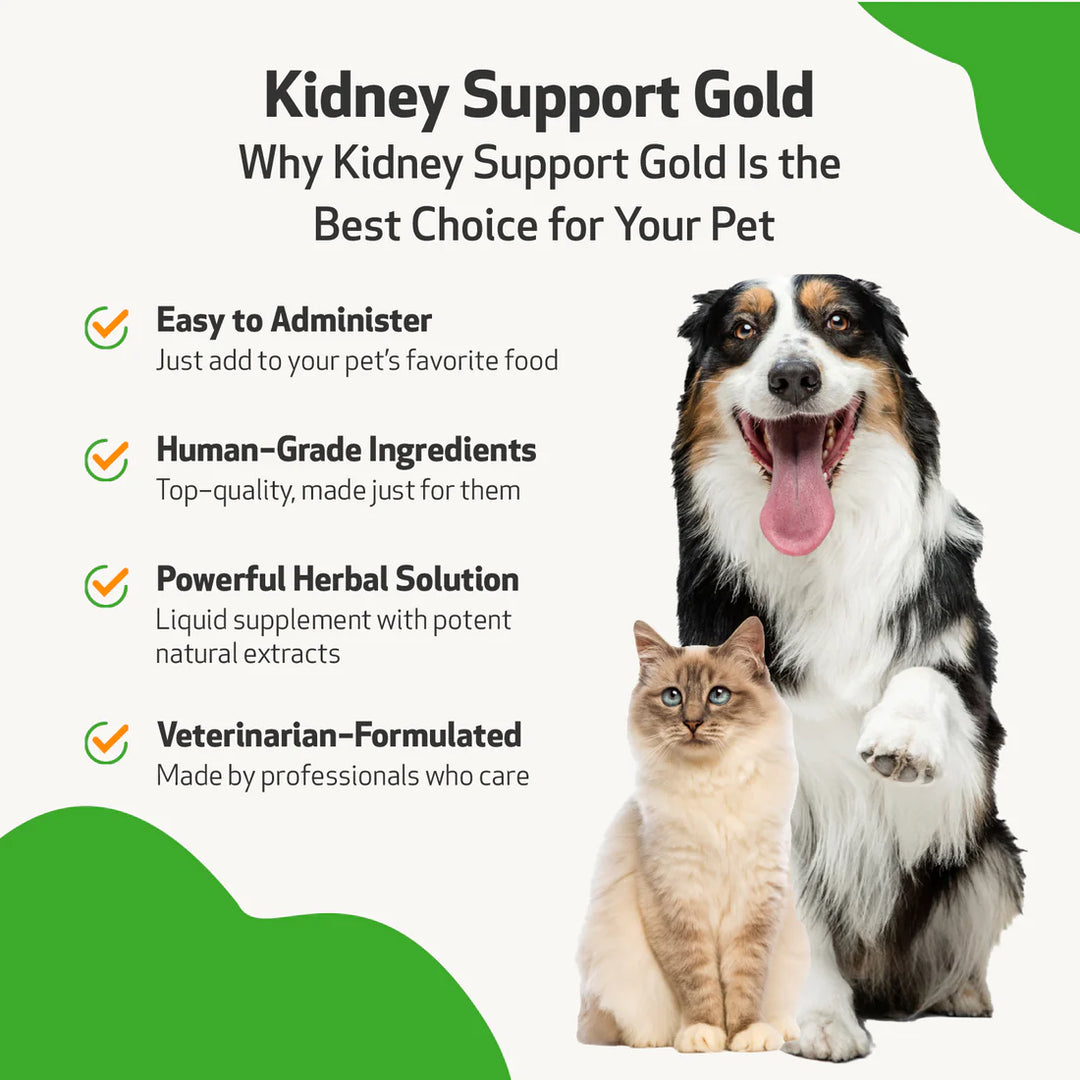 Pet Wellbeing Kidney Support Gold for Cats Dogs Kidney