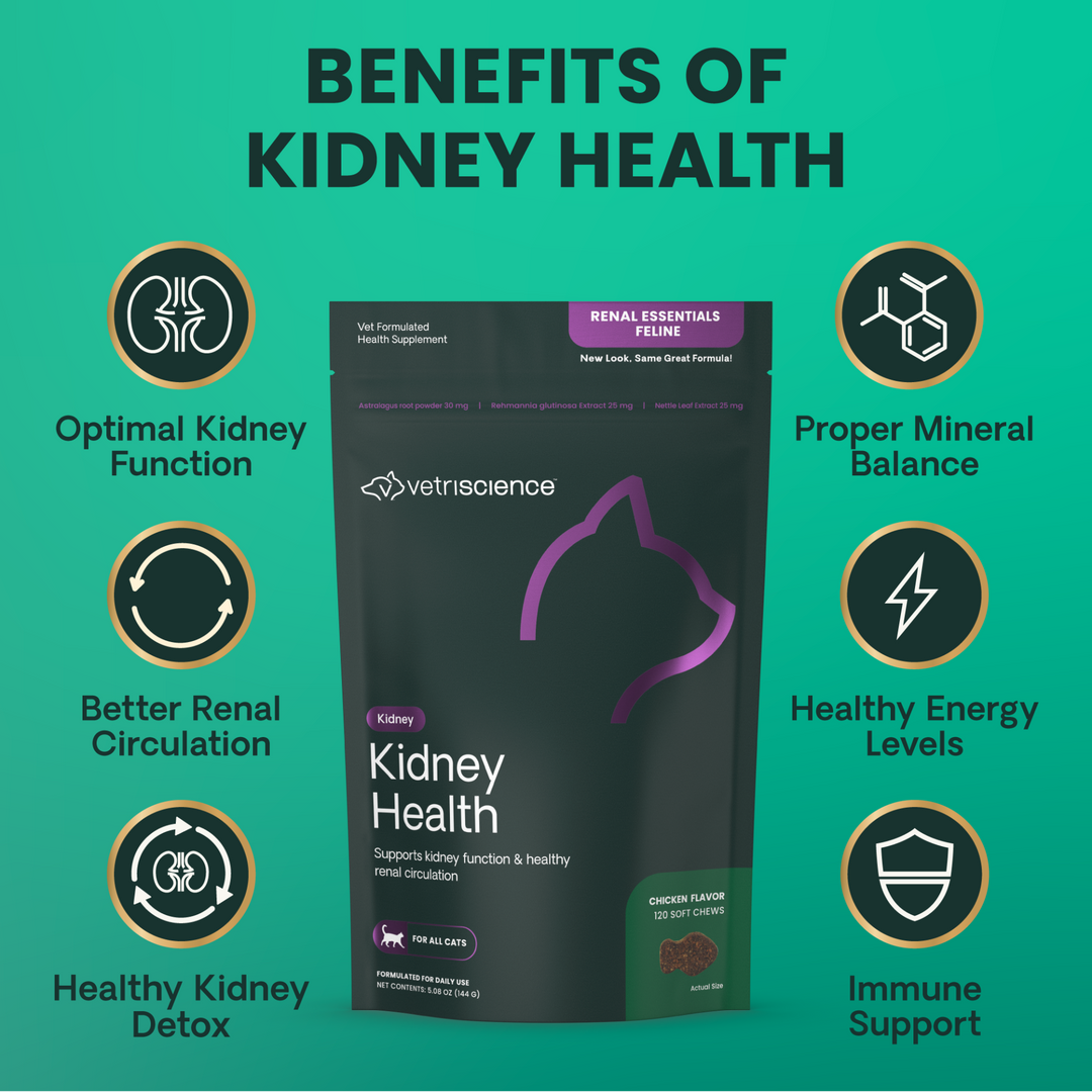 VetriScience Kidney Health for Cats, formally Renal Essentials Kidney Supplement for Cats (120 Chews)