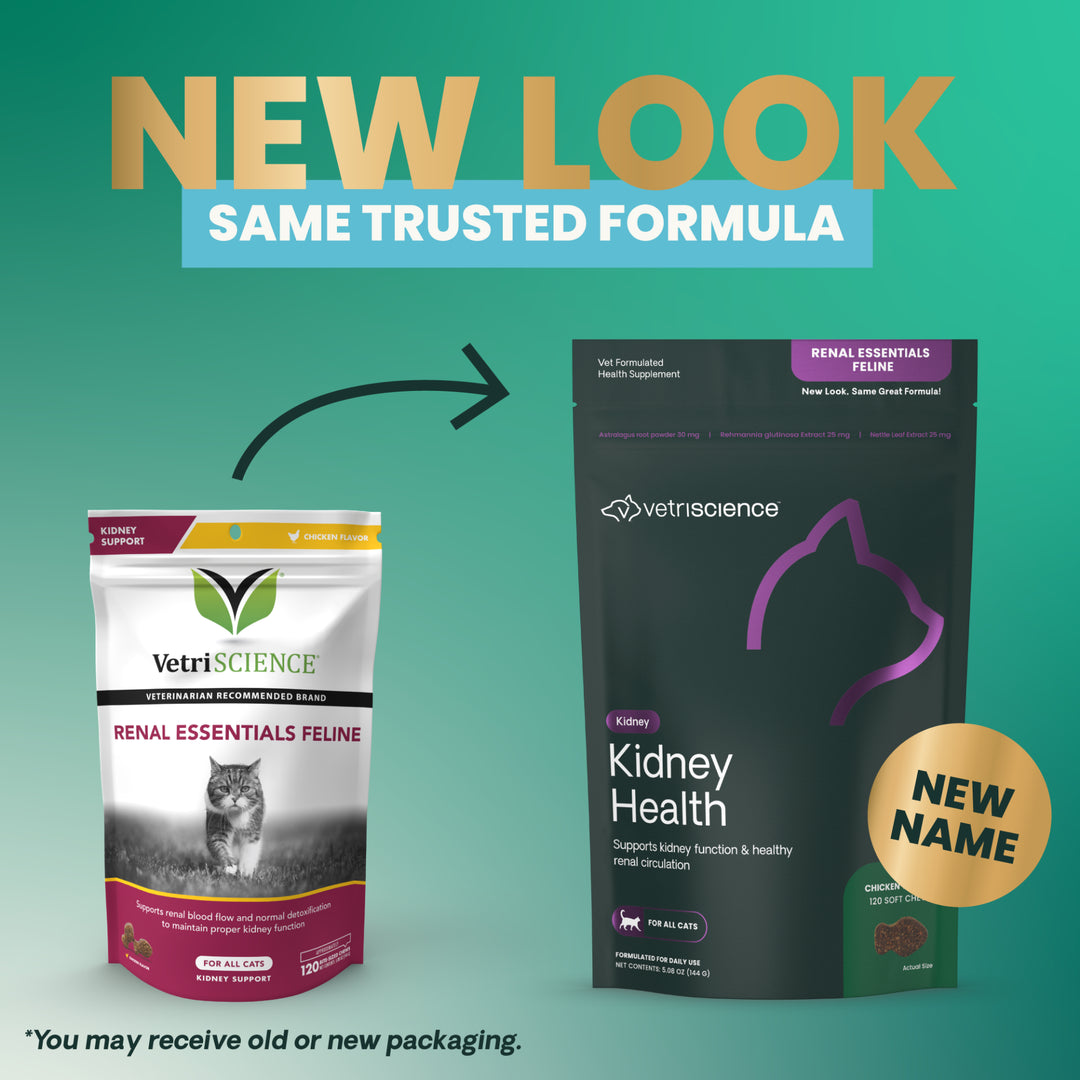 VetriScience Kidney Health for Cats, formally Renal Essentials Kidney Supplement for Cats (120 Chews)