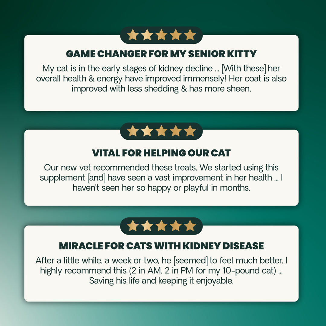 VetriScience Kidney Health for Cats, formally Renal Essentials Kidney Supplement for Cats (120 Chews)