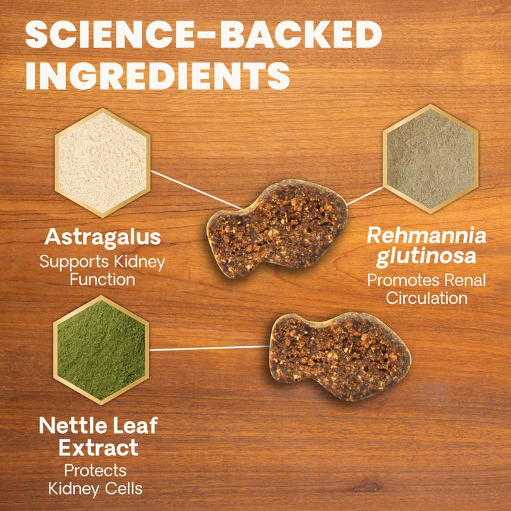 VetriScience Kidney Health for Cats, formally Renal Essentials Kidney Supplement for Cats (120 Chews)