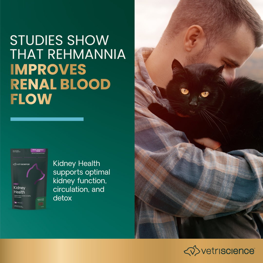 VetriScience Kidney Health for Cats, formally Renal Essentials Kidney Supplement for Cats (120 Chews)