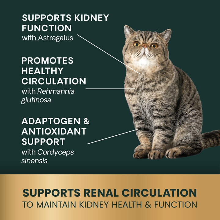 VetriScience Kidney Health for Cats, formally Renal Essentials Kidney Supplement for Cats (120 Chews)