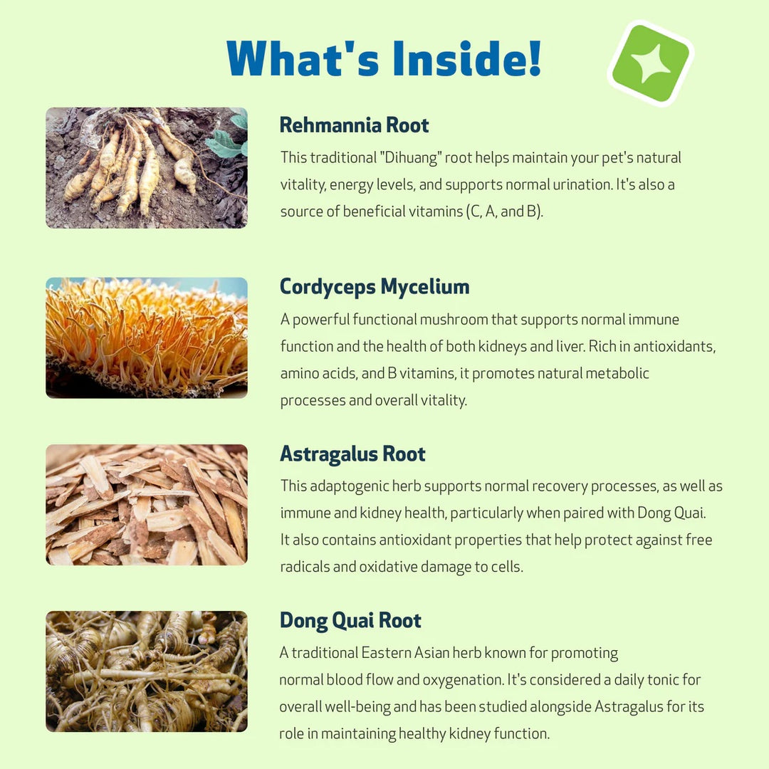 Pet Wellbeing - Kidney Support Gold - for Cats & Dogs Kidney Function