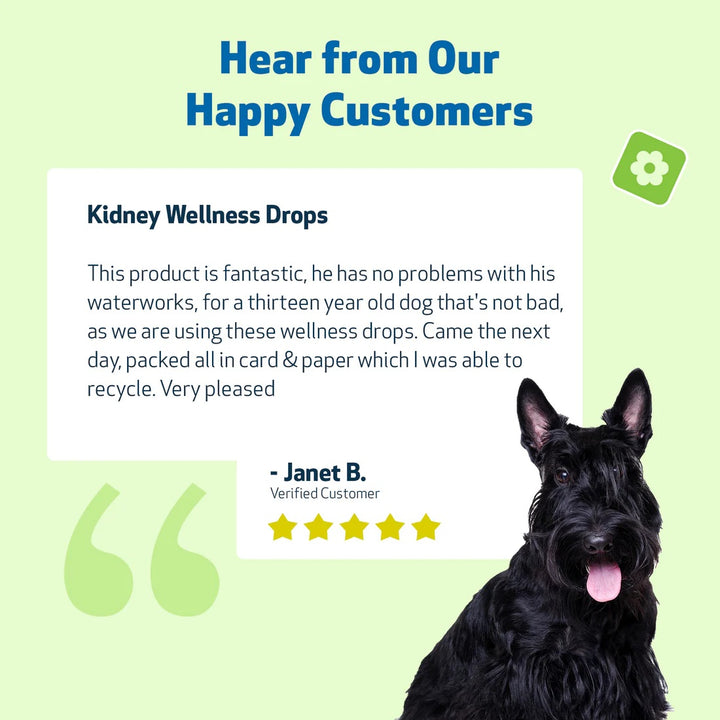 Pet Wellbeing - Kidney Support Gold - for Cats & Dogs Kidney Function