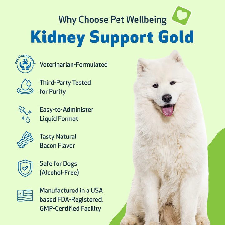 Pet Wellbeing - Kidney Support Gold - for Cats & Dogs Kidney Function