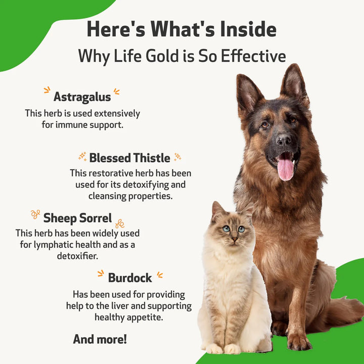 Pet Wellbeing - Life Gold - Trusted Care for Cat & Dog Cancer