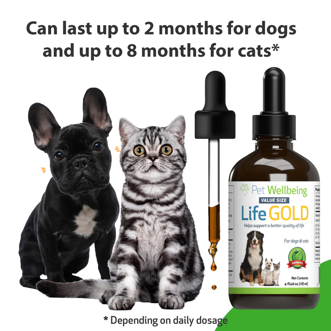 Pet Wellbeing - Life Gold - Trusted Care for Cat & Dog Cancer