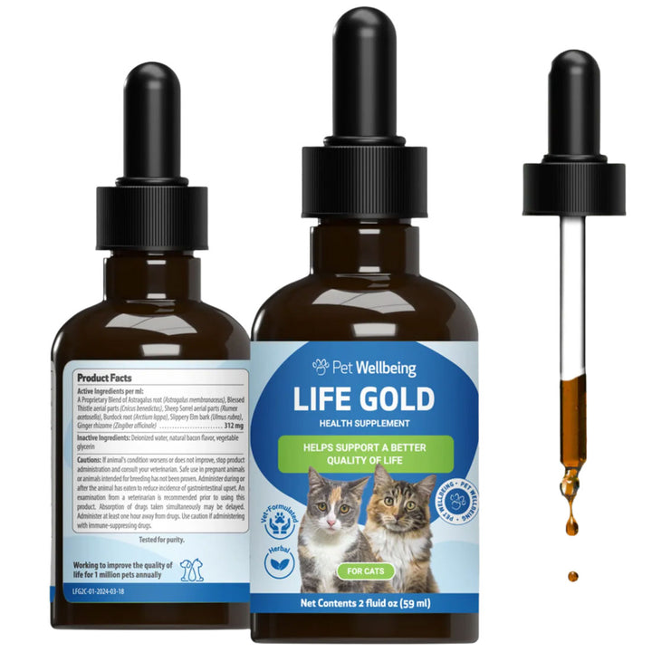 Pet Wellbeing - Life Gold - Trusted Care for Cat & Dog Cancer