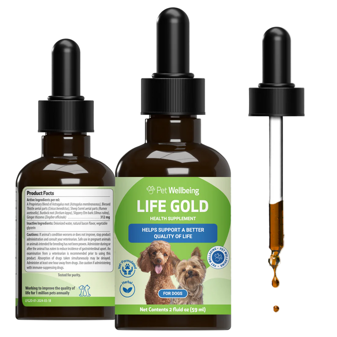 Pet Wellbeing - Life Gold - Trusted Care for Cat & Dog Cancer