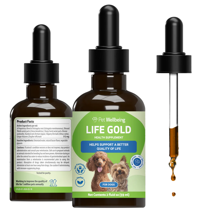 Pet Wellbeing - Life Gold - Trusted Care for Cat & Dog Cancer