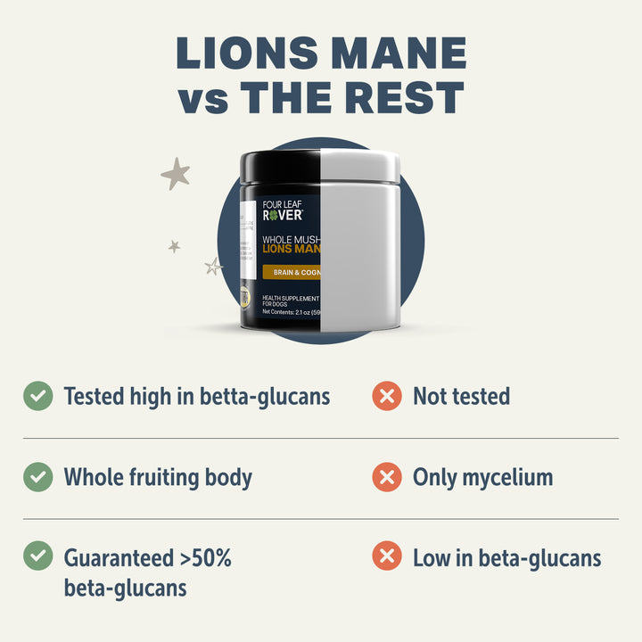 Four Leaf Rover Lion's Mane for Dogs - Organic Mushroom Extract (59.6g)