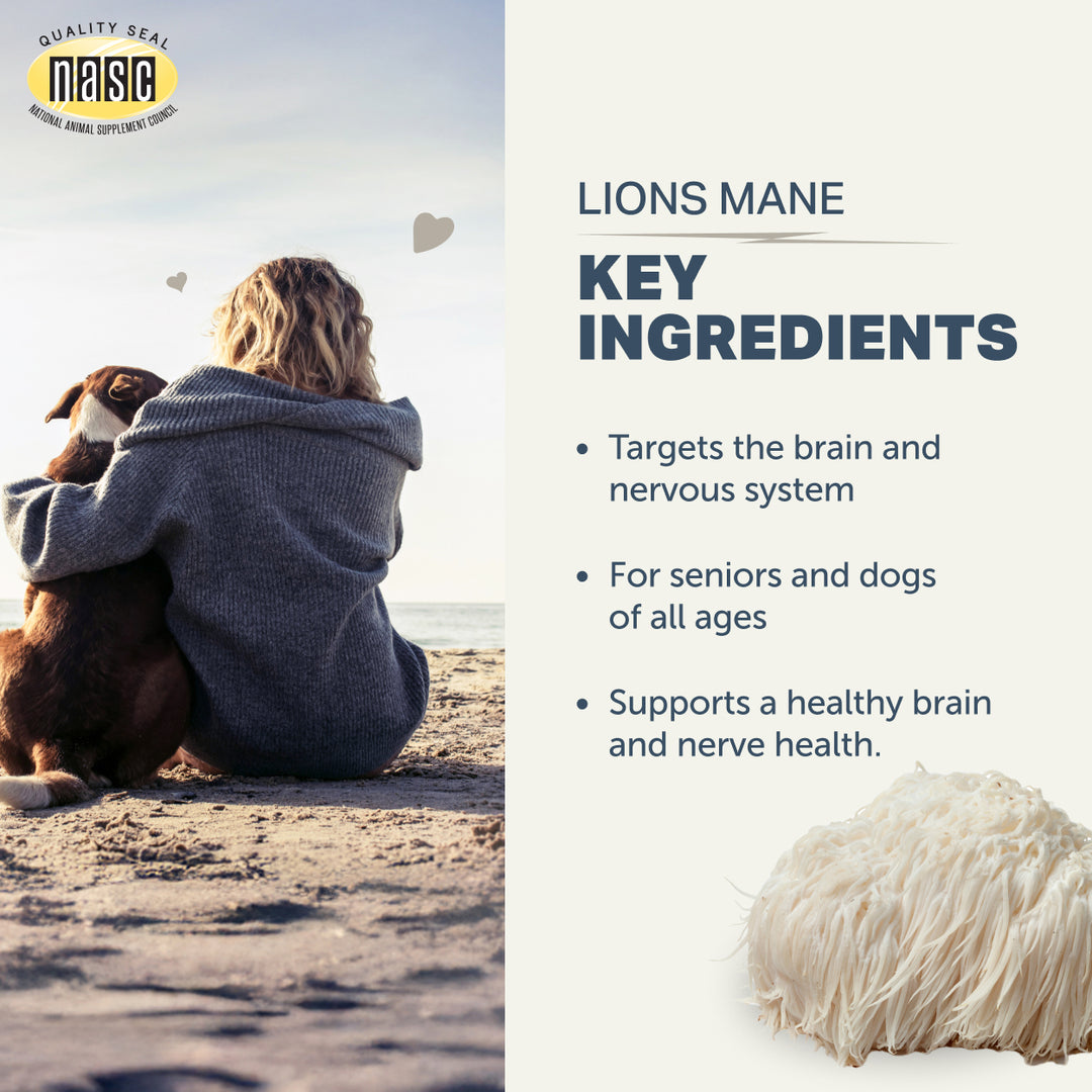 Four Leaf Rover Lion's Mane for Dogs - Organic Mushroom Extract (59.6g)