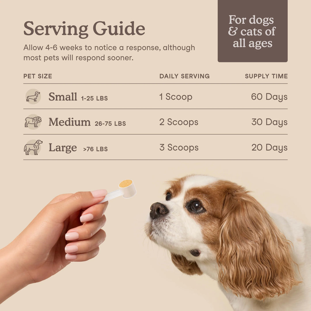 Fera Pets Liver Support for Dogs and Cats (72g)