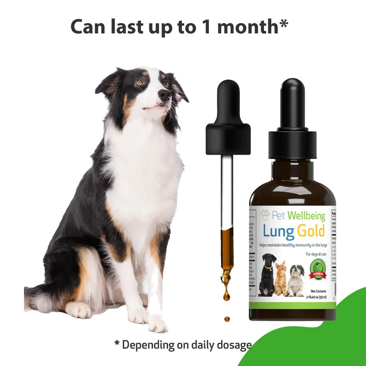 Pet Wellbeing - Lung Gold - for Cat & Dog Respiratory Stability