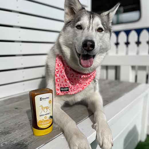 Kōrure Pets Dog Honey + Mussel Oil (Joint Health) - 250g