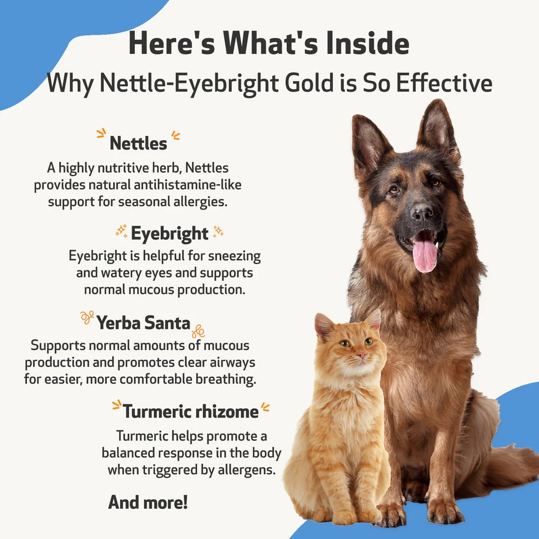 Pet Wellbeing - Nettle-Eyebright Gold - Allergy Defense for Cats & Dogs with Seasonal Sneezing or Stuffy Nose (2oz / 59ml)