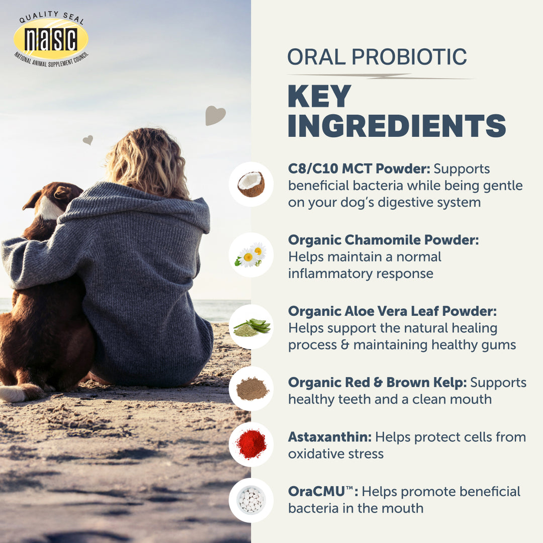 Four Leaf Rover Oral Probiotics Dog Dental Powder (81g)