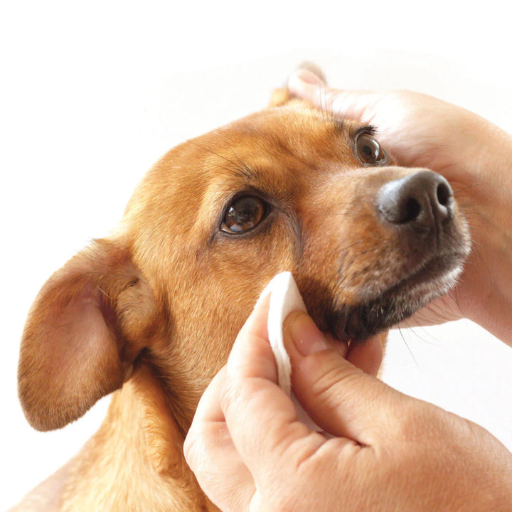 Pure and Natural Pet™ Tear Stain Removing Under Eye Wipes (50 wipes)