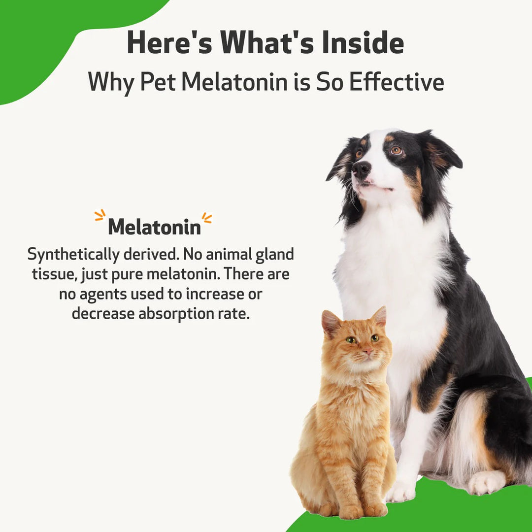 Pet Wellbeing - Pet Melatonin for Cats & Dogs - Support for dog Cushin ...