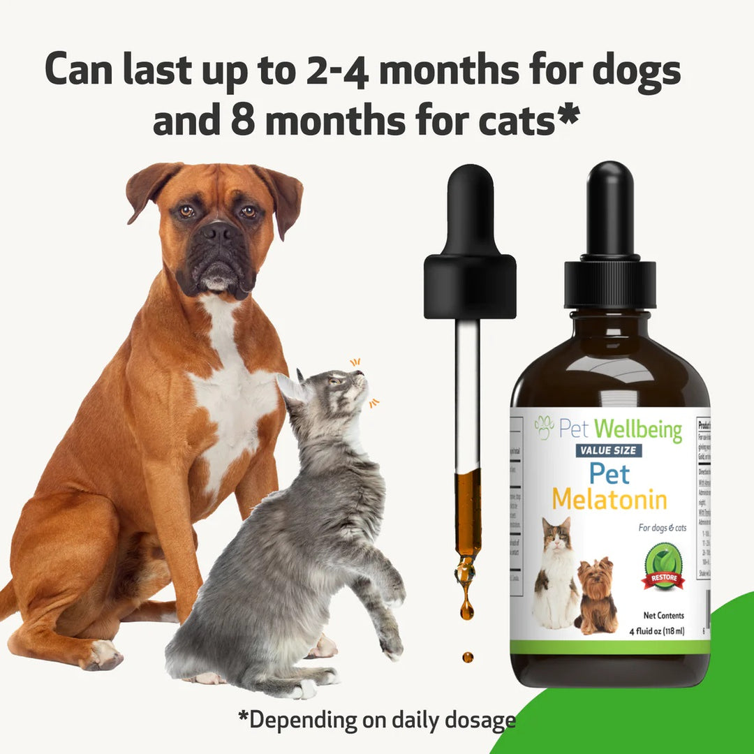 Pet Wellbeing - Pet Melatonin for Cats & Dogs - Support for dog Cushing's disease or anxiety