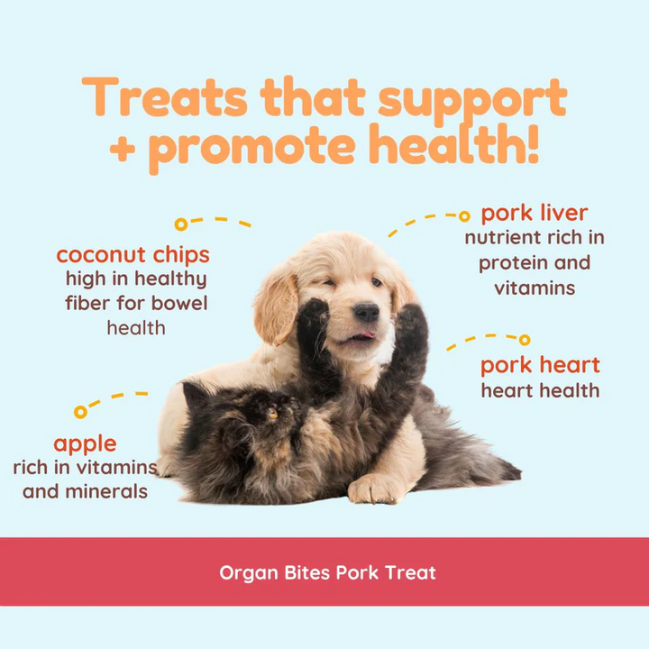 CocoTherapy® Organ Bites! Pork Organs + Apples + Coconut (85g) - Raw Organ Meat Treat for dogs and cats