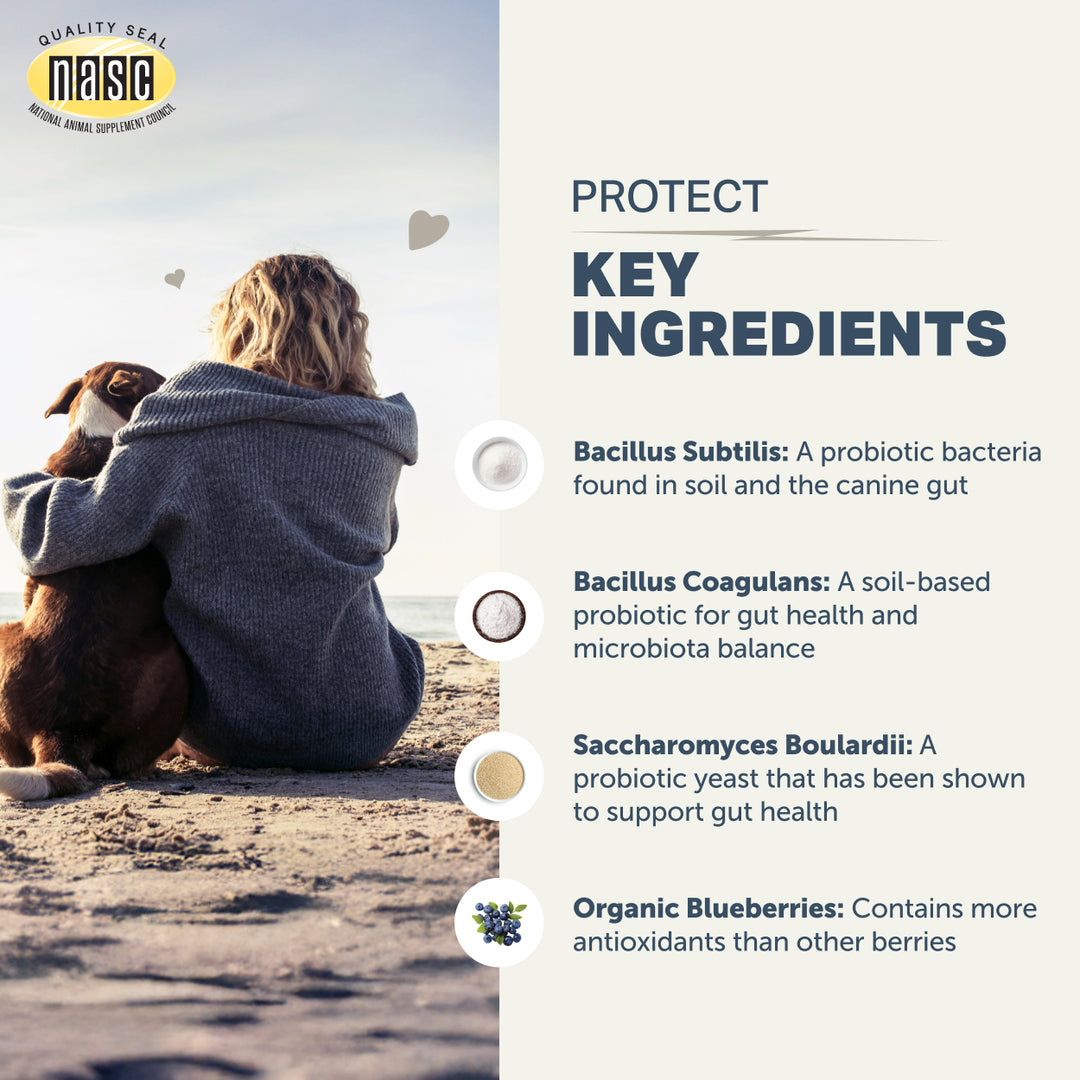 Four Leaf Rover PROTECT. Soil Based Probiotics (92.1g/184.2g)