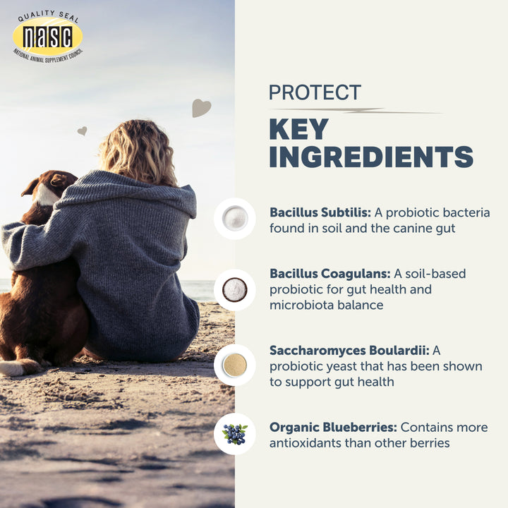 Four Leaf Rover PROTECT. Soil Based Probiotics (92.1g/184.2g)