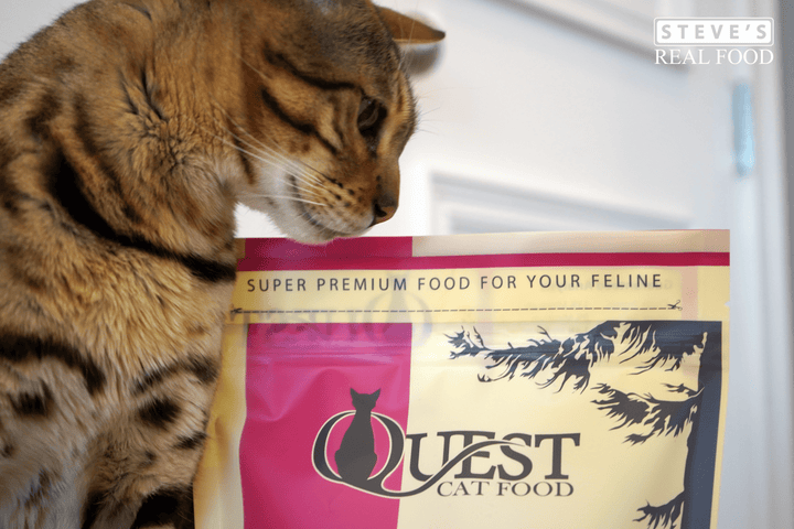 [NEW!] Quest Freeze-Dried Raw Cat Food - Beef Prey Model Diet (10 oz / 283.5g)