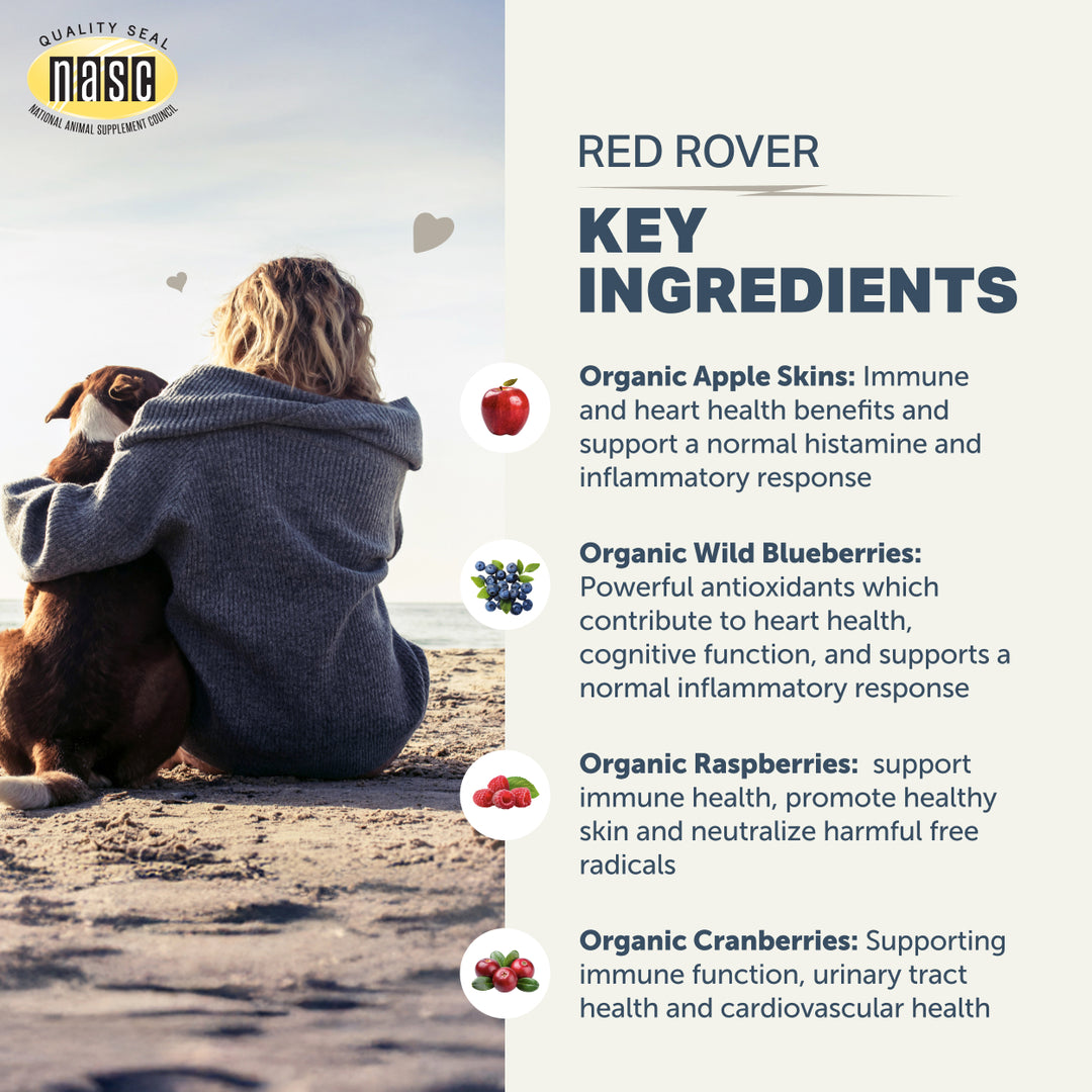 Four Leaf Rover RED ROVER. Organic Berries For Dogs (84.6g)