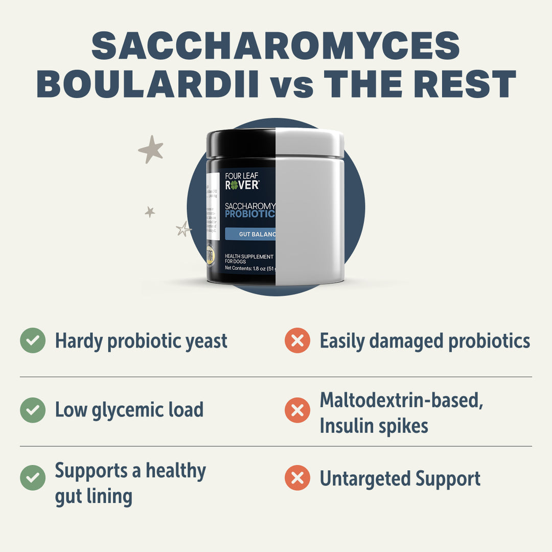 Four Leaf Rover Saccharomyces Boulardii Probiotic Yeast for Dogs (51g)