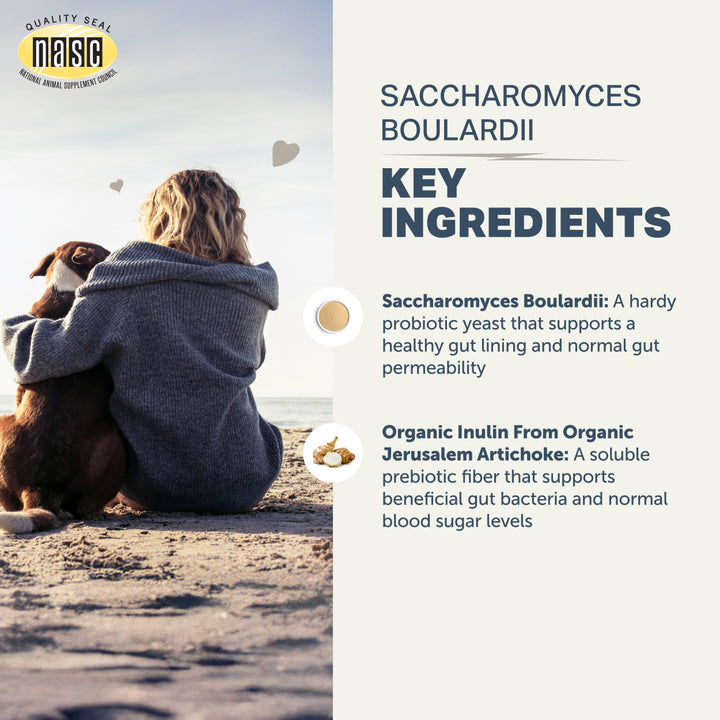 Four Leaf Rover Saccharomyces Boulardii Probiotic Yeast for Dogs (51g)