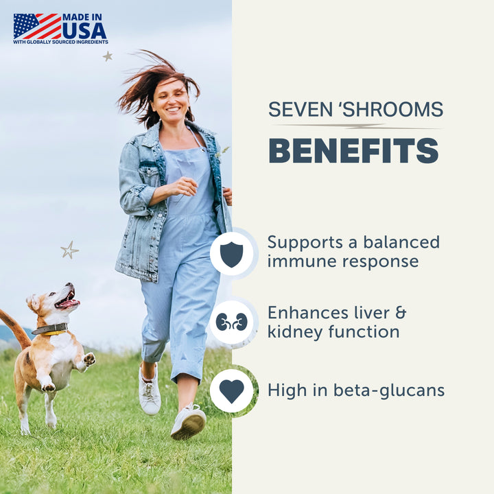 Four Leaf Rover SEVEN SHROOMS for Dogs. 7 Mushroom Blend (80g)