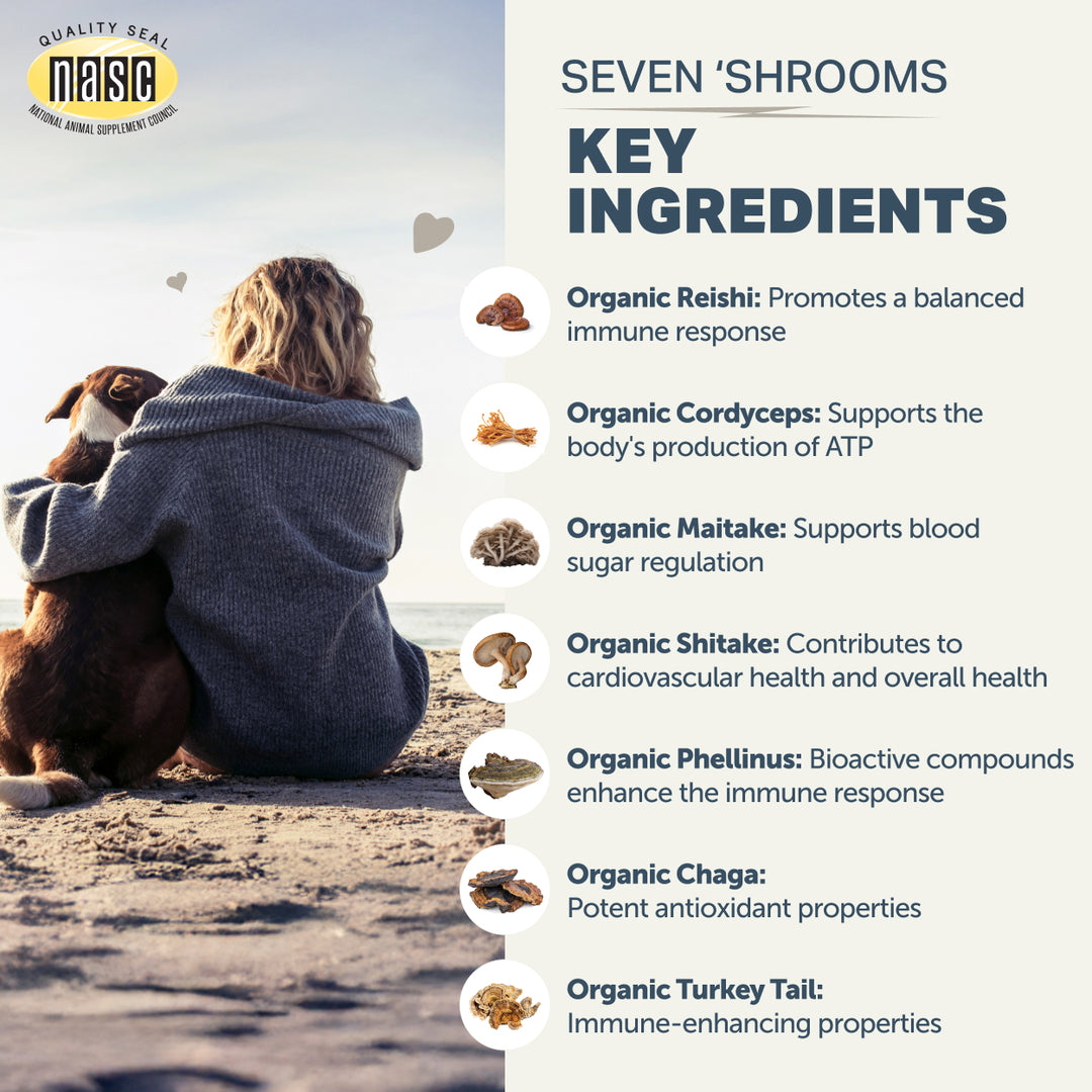 Four Leaf Rover SEVEN SHROOMS for Dogs. 7 Mushroom Blend (80g)