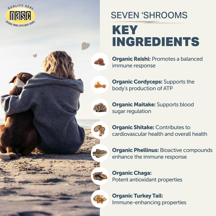Four Leaf Rover SEVEN SHROOMS for Dogs. 7 Mushroom Blend (80g)