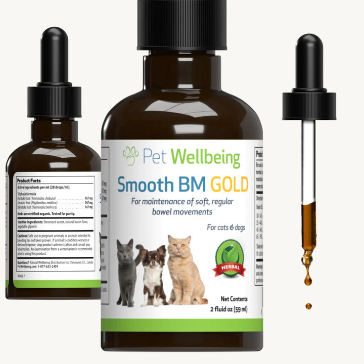 Pet Wellbeing - Smooth BM Gold - for Cat & Dog Constipation