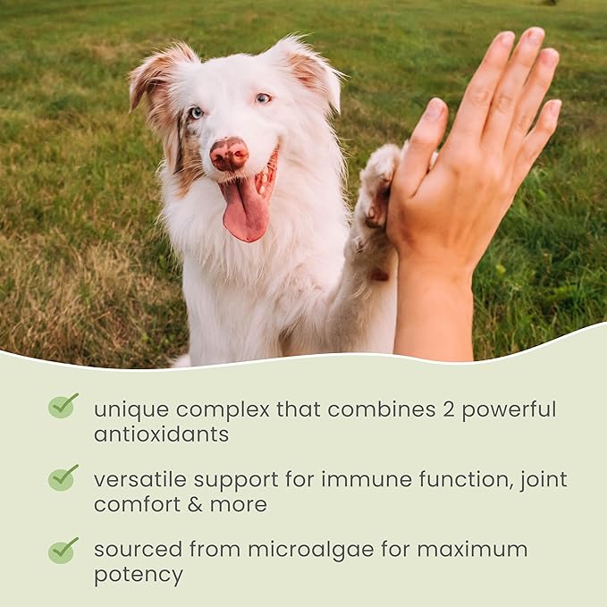 Dr. Mercola SpiruGreen, Bark & Whiskers Spirulina for Cats & Dogs (90g -180 tablets)