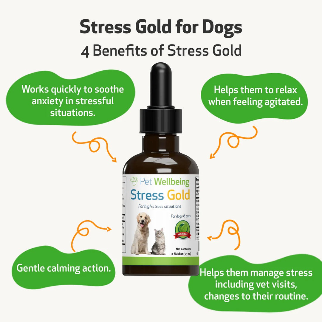 Pet Wellbeing - Stress Gold - for High Stress Situations in Cats & Dogs (2 oz / 59ml)